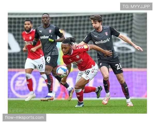 格罗宁根防线稳定